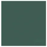 DDDDD Theedoek Logo Groen