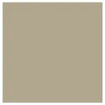 DDDDD Theedoek Logo Taupe