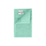 The One Gastendoek 30x50 cm 500 gram Mint