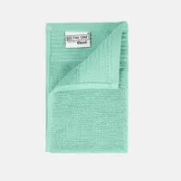 The One Gastendoek 30x50 cm 500 gram Mint