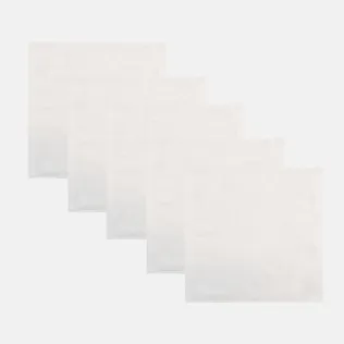 The One Gastendoek 450 gram 30x30 cm Wit (5 stuks)